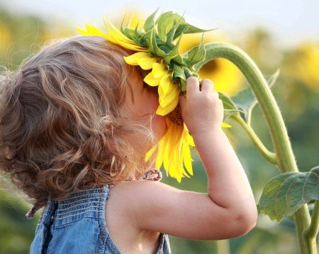 ✿ Loving SunFlower ✿ - sunflower, summer, smelling, girl, blonde, angel, adorable, sweet