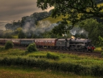 Steam Train