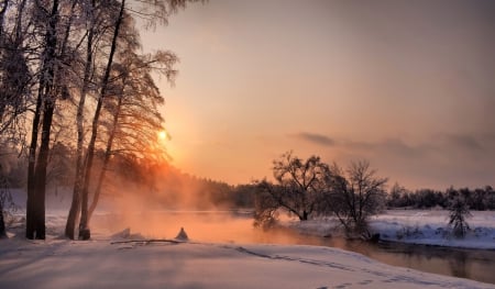 Winter - winter, amazing, sunset, trees