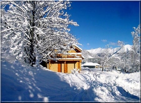 House in Winter - sky, landscape, shadows, trees, snow, sunshine