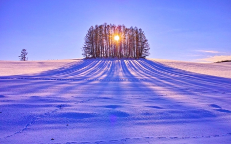 Beautiful winter day - hill, trees, landscape, day, sun, winter, cold, forest, beautiful, outdoor, snature