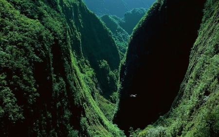 The Gorges of the Bras de Caverne, island of Reunion, France - France, gorges, canyons, nature, Reunion, Bras de Caverne