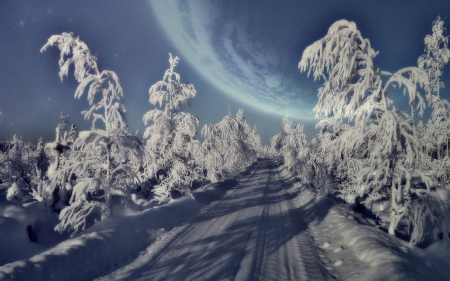 dead end - winter, nature, planet, trees