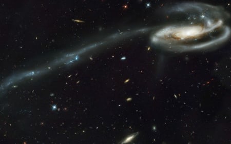 Tadpole galaxy