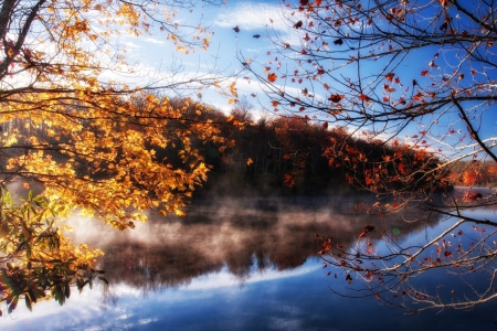 *** Autumn *** - nature, fall, lake, autumn, trees