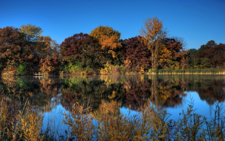 *** Autumn forest *** - nature, lake, autumn, forest