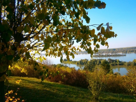 Nature - nature, lake, field, trees