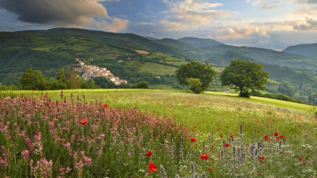 wildflowers on a hillside - village, flowers, hill, trees