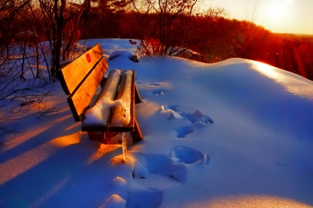 Winter - sky, trees, photography, sun, wonderful, cold, tree, ice, snowflake, winter, snowflakes, lovely, nature, snow, beautiful, splendor, photo