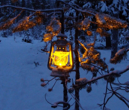 ~ Winter Evening ~ - nature, evening, lantern, warm, snow, light, winter