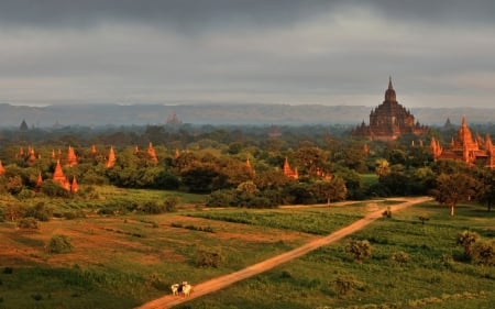 Temple - land, nature, view, temple