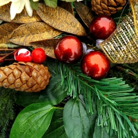 Christmas Holly