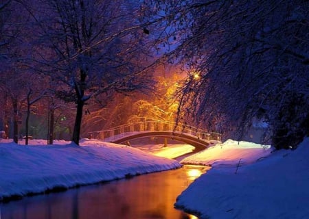 Winter River - trees, evening, snow, light, water, park, bridge