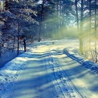 WINTER ROAD