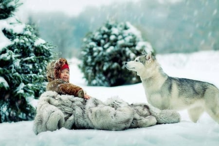 Winter - winter, dogs, snow, cool, childs