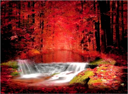 Bosque rojo - union, color, vista, pasion