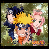 Team 7