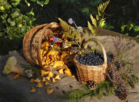 *** Forest harvest *** - basket, nature, mushrooms, harvest, forest