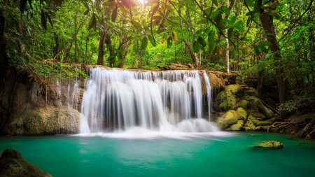 Waterfall - jungle, nature, tree, Waterfall