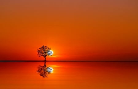 Sunset - horizon, silence, sunset, nature, beautiful, landscape, reflection, tree