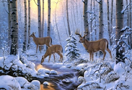 Winter Crossing - buck, woods, snow, winter, does