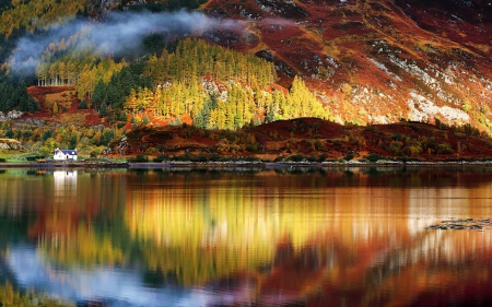 Lake - nature, water, lake, tree