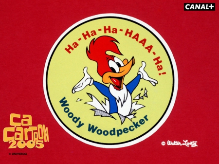 Woody Woodpecker - woody, cartoon, bird, woodpecker