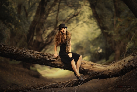 Alone in the forests - forests, trees, woman, sitting