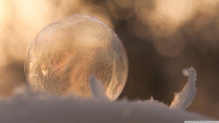 Frozen bubble - wallpaper, winter, frozen, frost, abstract, hd, frosted, photography, bubble, ice, nature, frosty, snow