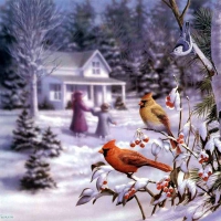 Cardinals in Winter