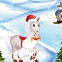 Year of the Horse