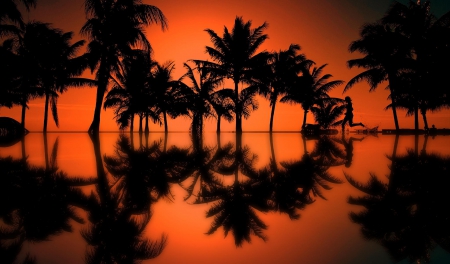 *** Sunset reflection *** - trees, nature, sunset, reflection