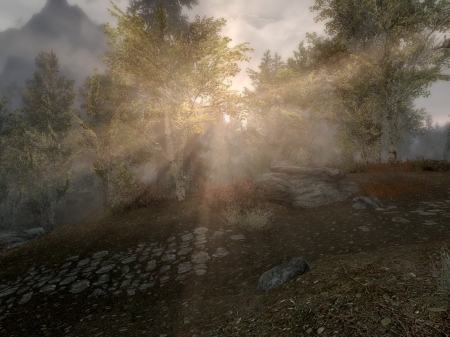 A brand new day - fall, ground, pathway, clouds, sunlight, bushes, leafs, trees, mist, mountain, skyrim