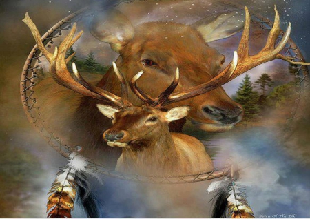 spirit of the elk - indian, deer, dream catcher, elk