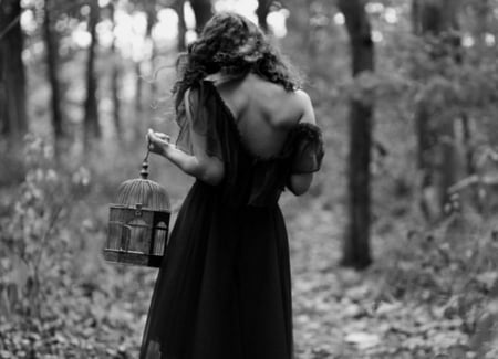 :) - alone, brunettes, forest, beauty, black and white, dark scenary, black dress, girl