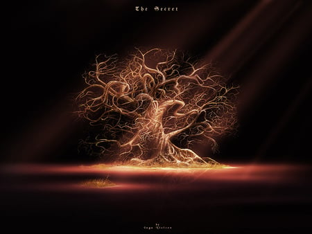 Tree of Sorrow - light beams, sadness, spotlight, dead tree