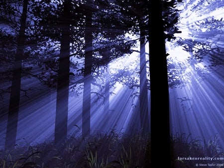 Sunlight Magic - forest, sunlight beams, trees