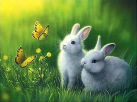 Curious Bunnies - flowers, 2 rabbits, butterflies, grass, art