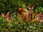 Doe and fawns