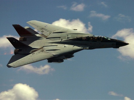 F-14 Tomcat - fighter, jet, wing, air, military, firepower, plane, aircraft, force, missile, bomber