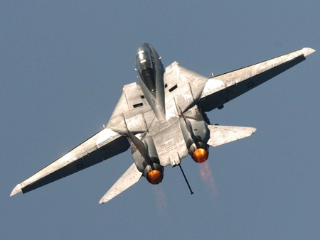 Tomcat - bomber, wing, fighter, jet, firepower, military, aircraft, air, force, plane