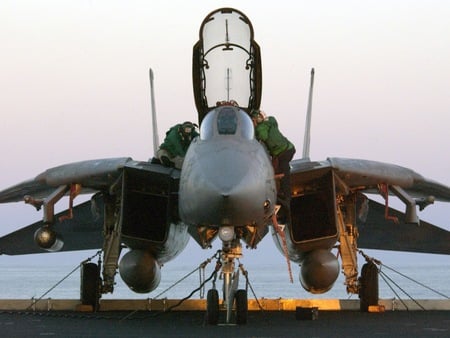 Tomcat - fighter, jet, wing, air, military, firepower, plane, aircraft, force, bomber