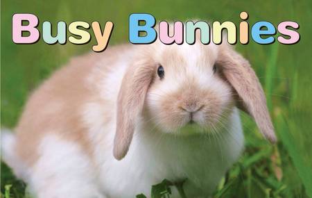 Busy Bunnies - brown white rabbit, grass, words