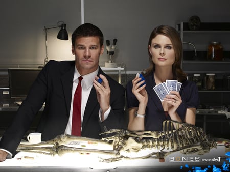 Bones - bones, sexy, tv series, movies, model