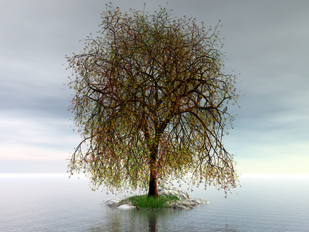 Tree - tree, 3d