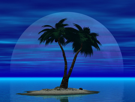 Palms - palms, 3d