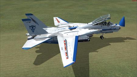 Tomcat - bomber, wing, fighter, missile, jet, firepower, military, aircraft, air, force, plane