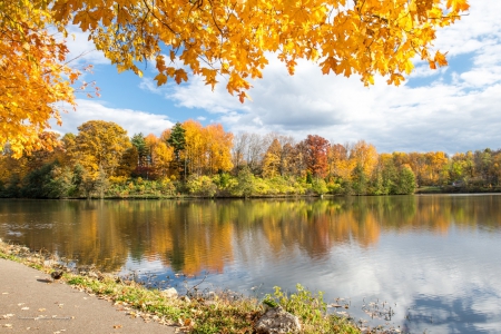 *** Autumn lake *** - lakes, nature, fall, autumn, trees