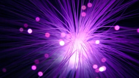 Purple Optic - purple, graphics, strings, bokeh, fiber optic