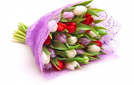 Tulips - tulips, bouquet, tulip, flowers